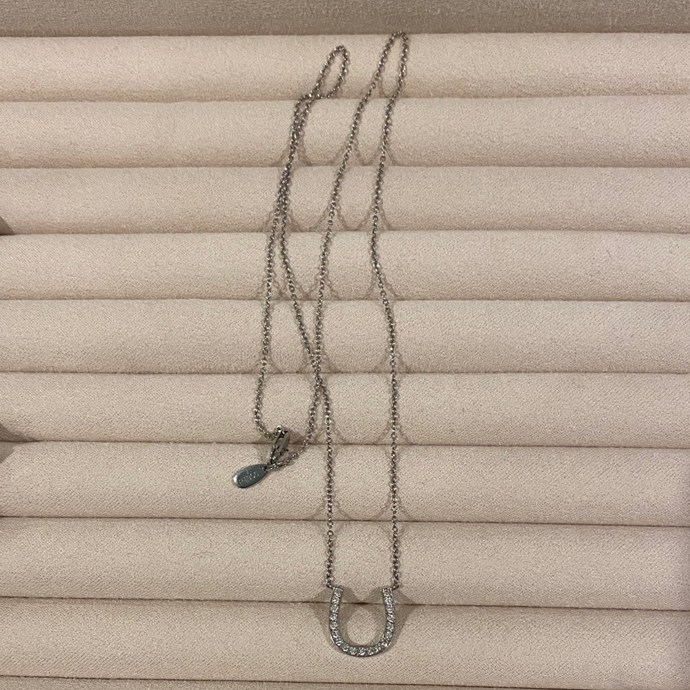 Platinum horseshoe necklace